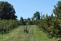 Stone Ridge Orchard image 1