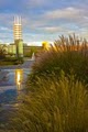 Stony Brook University logo