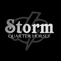 Storm Quarter Horses logo