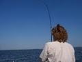 Stray Cat Sport Fishing Charters image 4