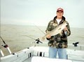 Stray Cat Sport Fishing Charters image 5
