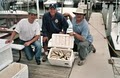 Stray Cat Sport Fishing Charters image 7