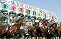 Suffolk Downs logo