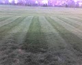 Sullens Lawn Care image 3