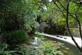 Sunken Gardens image 9