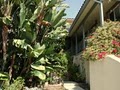 Sunny San Diego Vacation Rentals - Mission Hills image 1