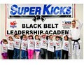 Super Kicks Karate image 2