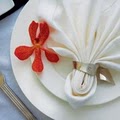 Tablecloth DIRECT - Buy Banquet Linen Fabrics - Wedding Fabrics image 3