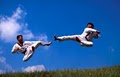Tae Ryong Taekwondo Schools image 4