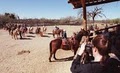 Tanque Verde Guest Ranch image 10