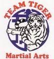 Team Tiger Martial Arts logo