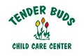 Tender Buds Child Care Center logo