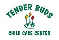 Tender Buds Child Care Center image 1