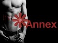 The Annex logo