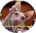 The Cat Spot image 2