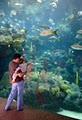 The Florida Aquarium image 3