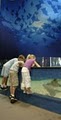 The Florida Aquarium image 10