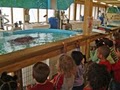 The Georgia Sea Turtle Center image 1