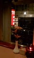 The Hunan Restaurant image 1