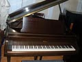 The Piano Shoppe of Cary Used Pianos,Refurbished Pianos,Consignment image 2