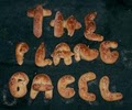 The Plane Bagel logo