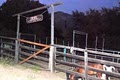 The Rocking Horse Ranch, LLC image 6