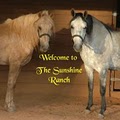 The Sunshine Ranch LLC logo