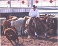 Tim Horn Cutting Horses LLC image 3