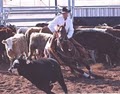 Tim Horn Cutting Horses LLC image 5