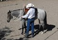 Tim Horn Cutting Horses LLC image 6