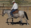 Tim Horn Cutting Horses LLC image 9