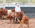 Tim Horn Cutting Horses LLC image 10