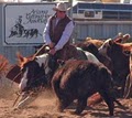 Tim Horn Cutting Horses LLC image 1