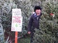 Tom Mitts Christmas Trees image 8