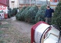 Tom Mitts Christmas Trees image 9