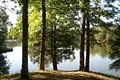 Tombigbee State Park: Assistant Manager image 2