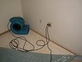 Top Notch Carpet Cleaning image 4