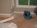 Top Notch Carpet Cleaning image 5