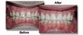 Torgan Beard Fernandez Dental Group image 3