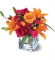 Town & Country Flowers-Manhasset logo