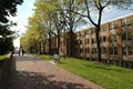 Towson University image 5