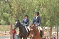 Traditional Equitation School image 8