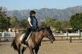 Traditional Equitation School image 9
