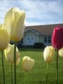 Trinity Orthodox Presbyterian Church image 3