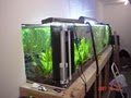 Tropical Fish World Inc image 5