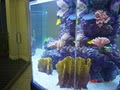 Tropical Fish World Inc image 6
