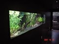 Tropical Fish World Inc image 7