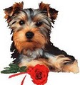 Trudy's Pooch Parlor logo