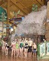 Tundra Lodge Resort and Waterpark image 2