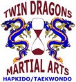 Twin Dragons Martial Arts image 2